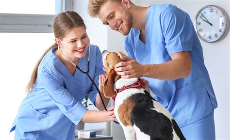 <b>Veterinary</b> <b>assistant</b> schooling takes 9-12 months, though some <b>veterinary</b> <b>assistant</b> <b>jobs</b> don't require a diploma or certificate. . Vet assistant jobs near me